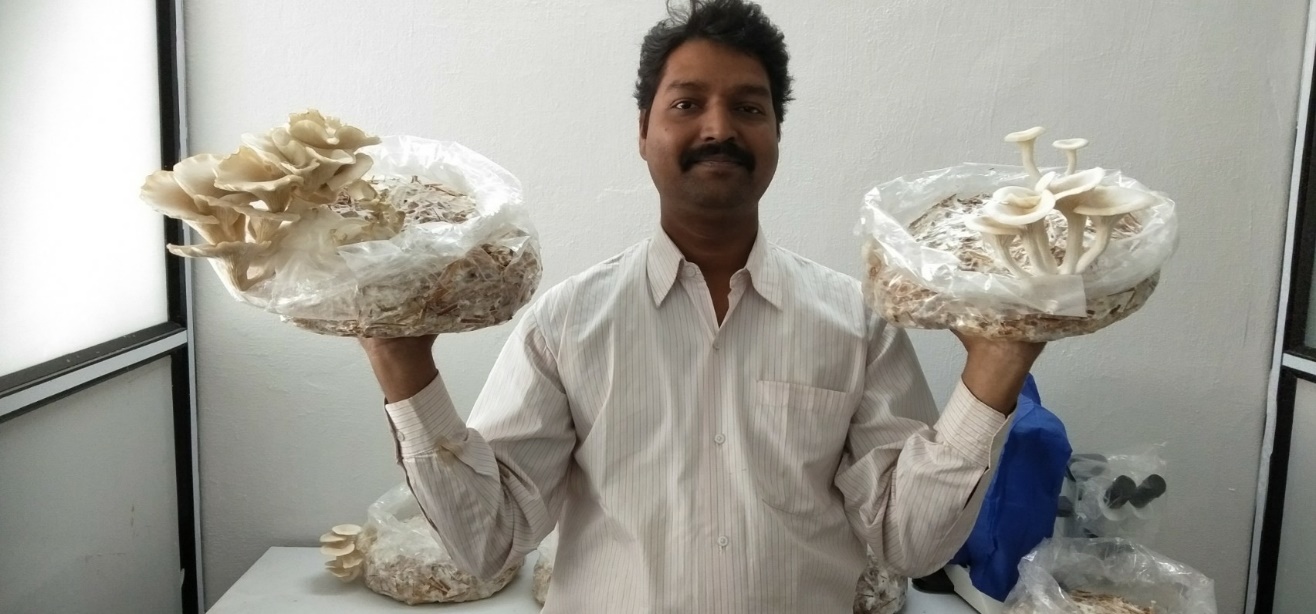 Hybrid Mushroom Cultivation