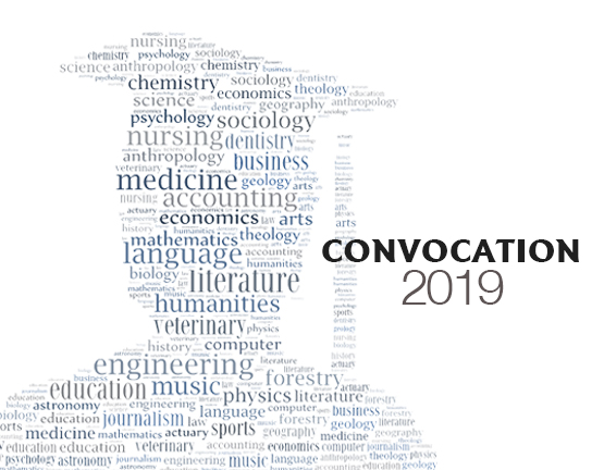 Convocation 2019 banner